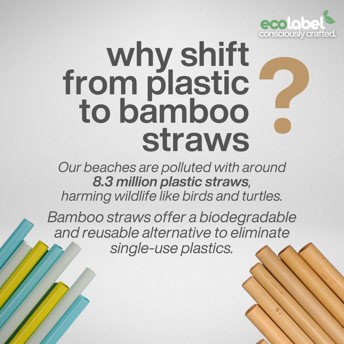 Reusable Bamboo Straw with cleaning brush