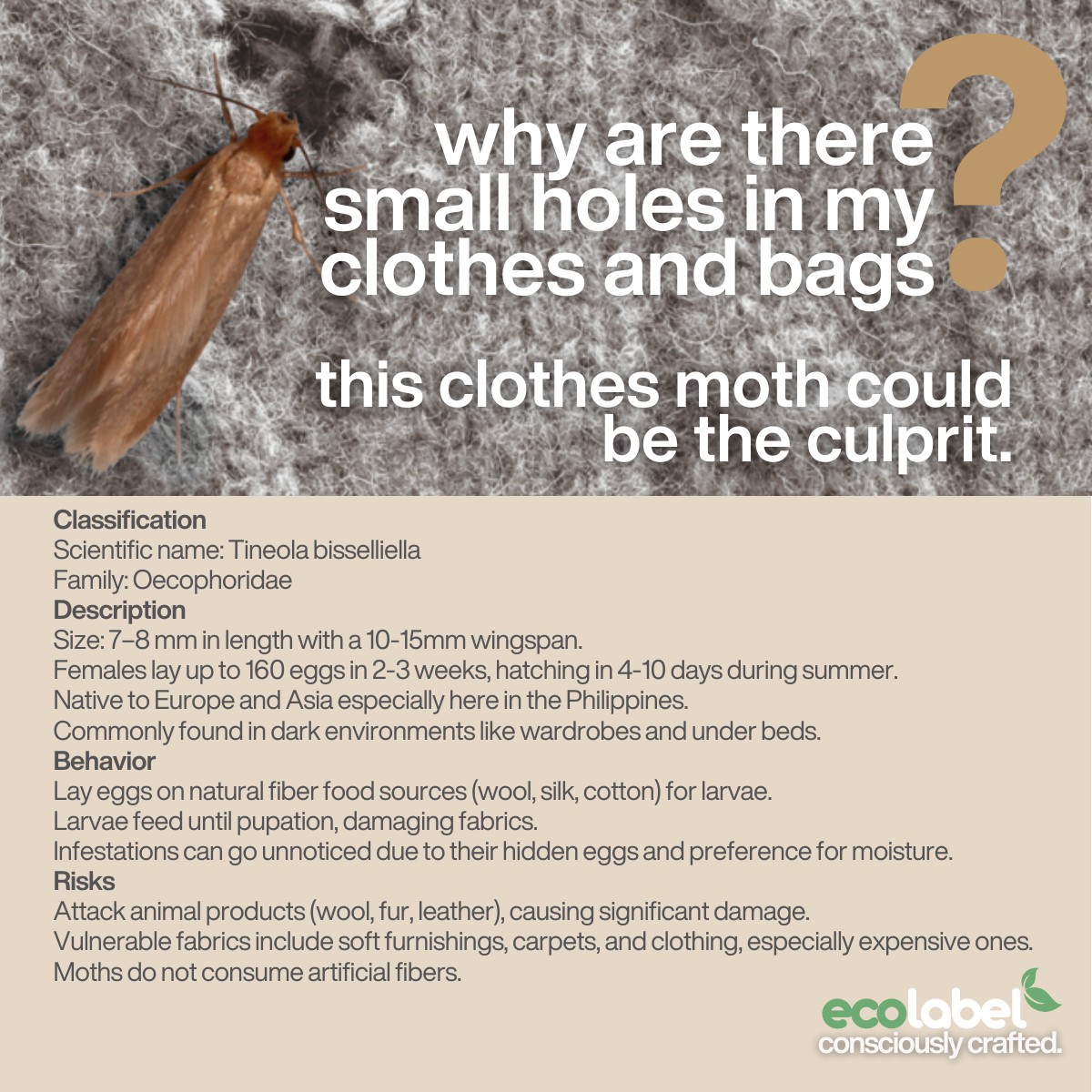 Reusable Non-toxic Natural Cedar Wood Moth Balls