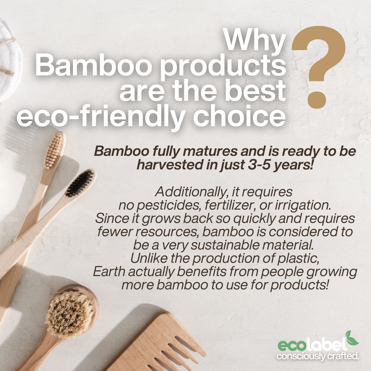 Anti-static Bamboo Hair Brush