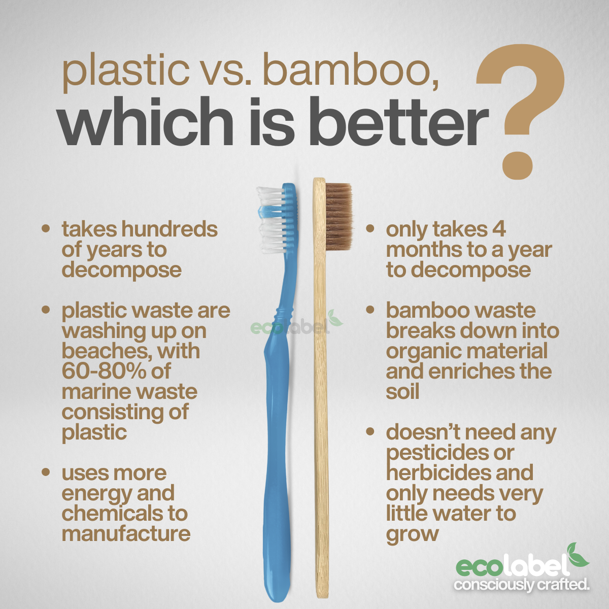 Bamboo Toothbrush
