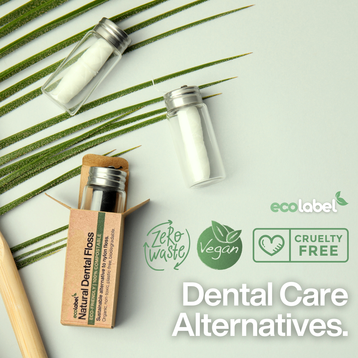 Dental Care Alternatives