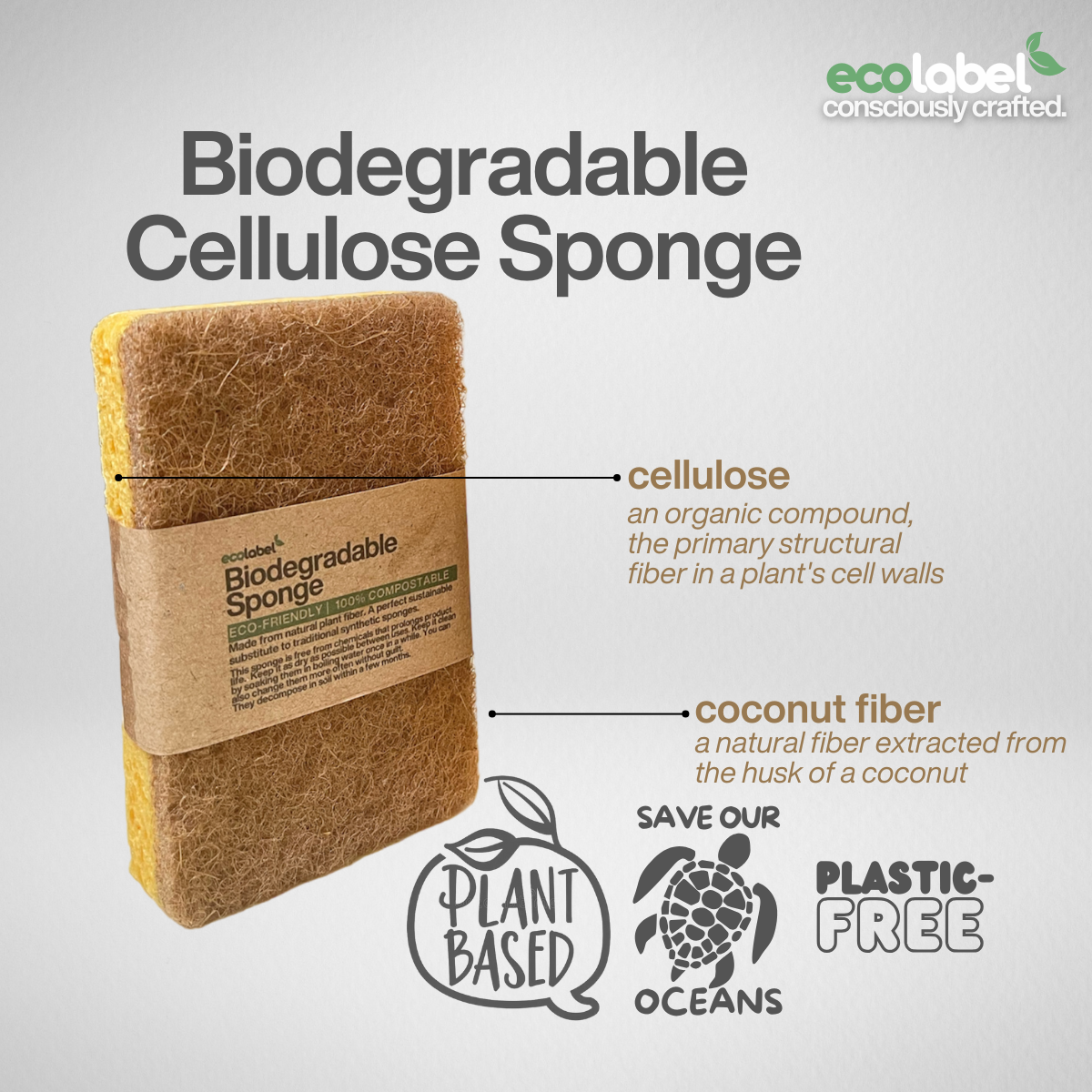 Biodegradable Sponge