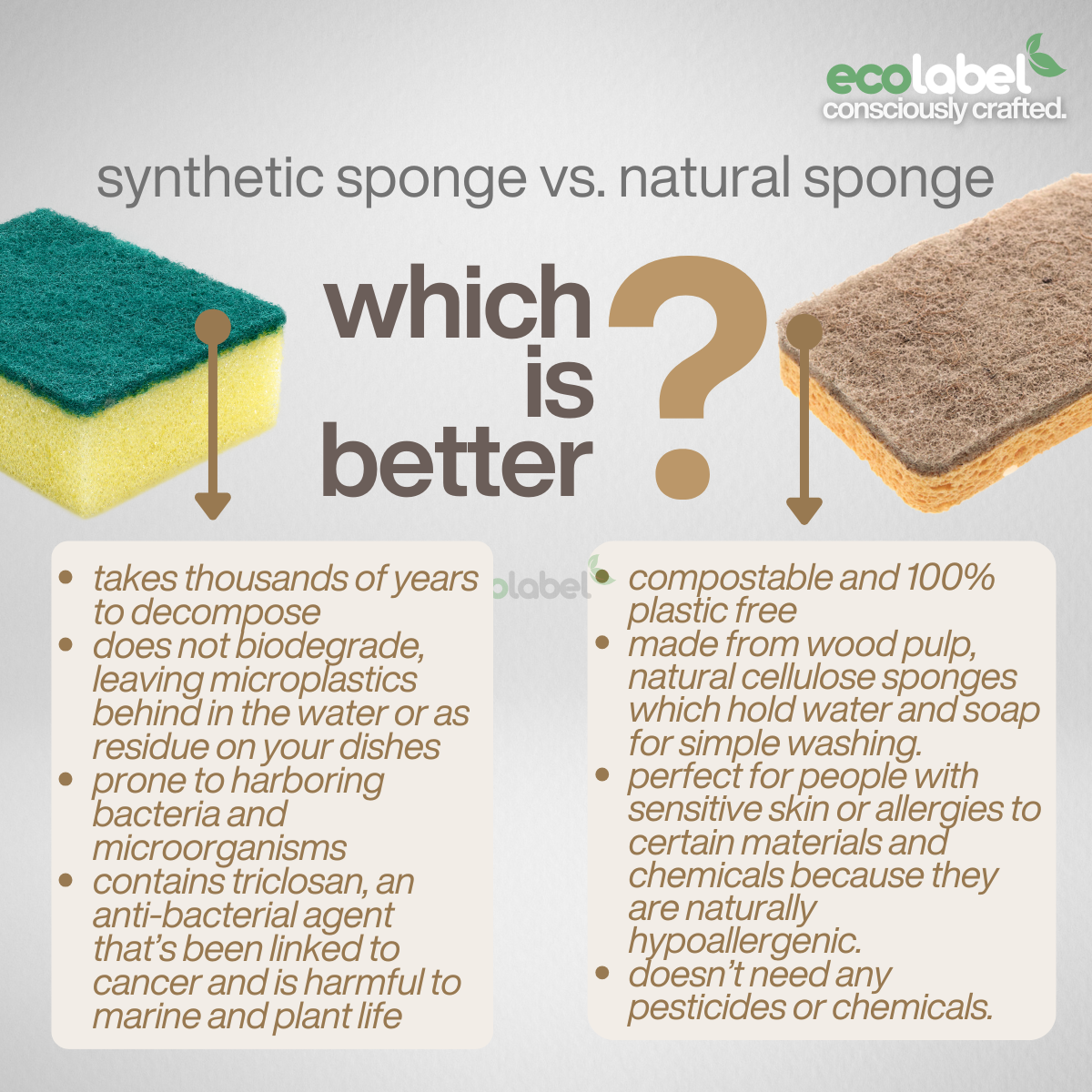 Biodegradable Sponge