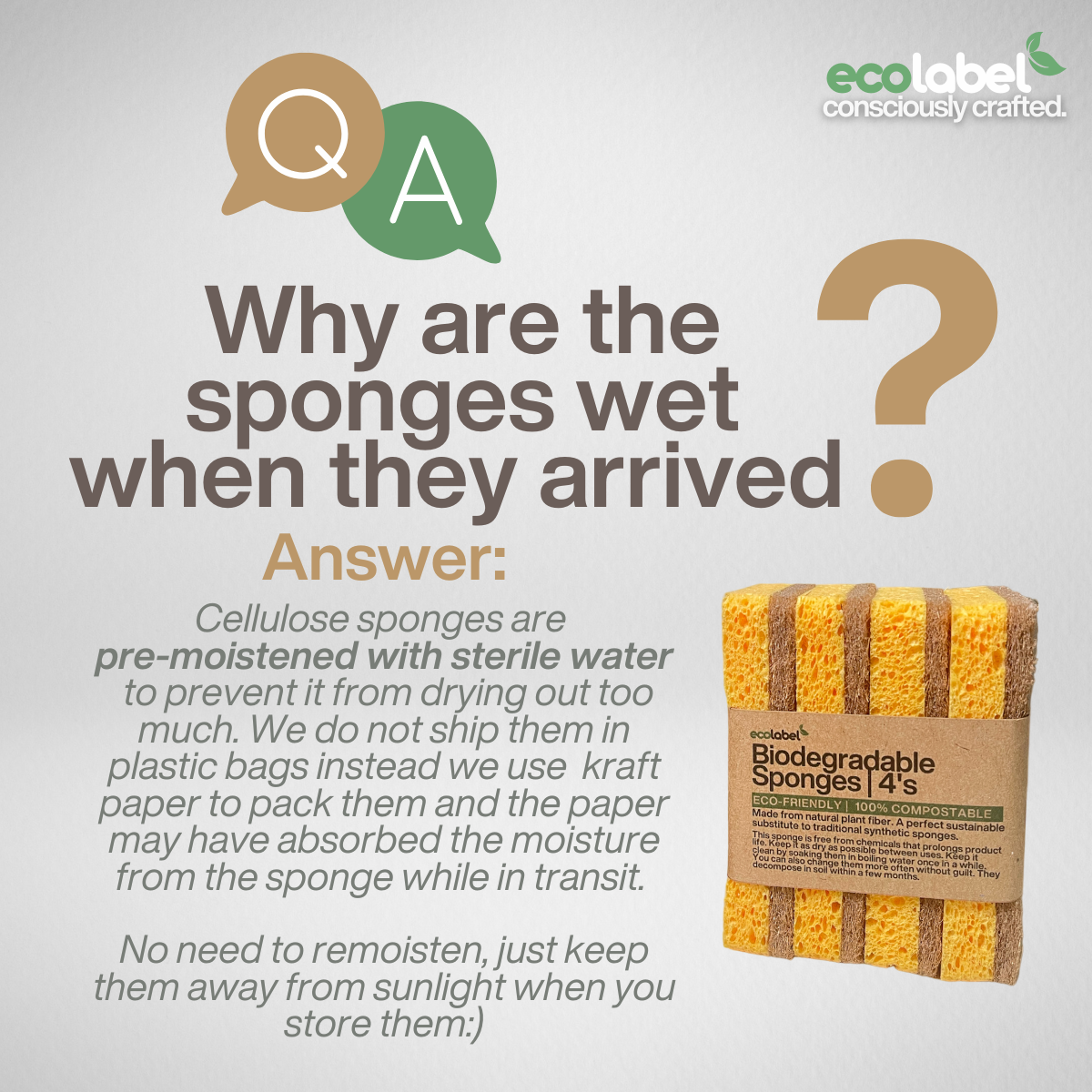 Biodegradable Sponge