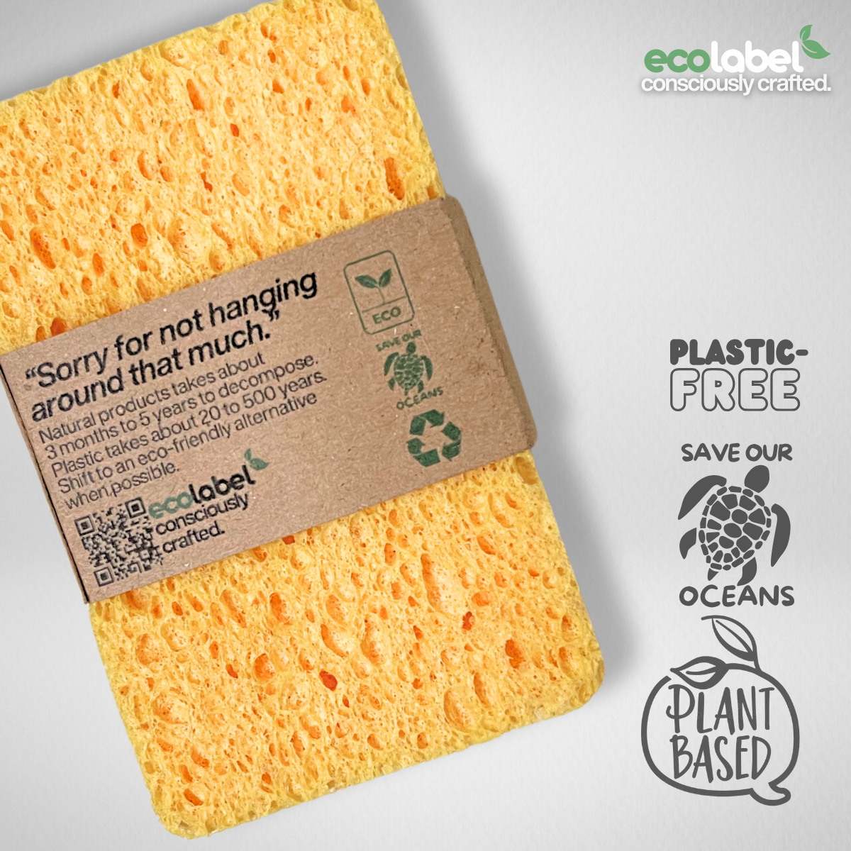 Biodegradable Sponge