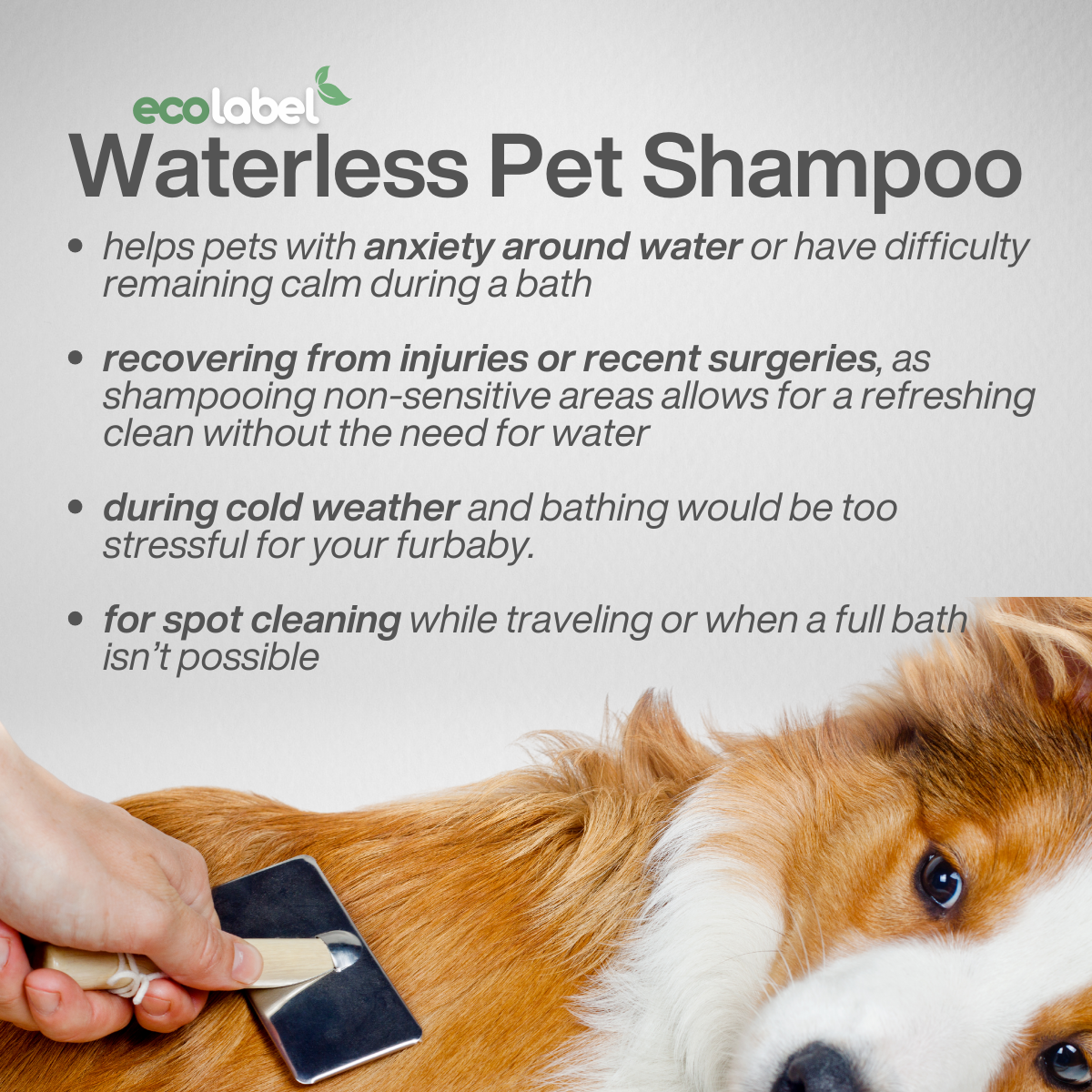 Plant-Based Waterless Pet Shampoo