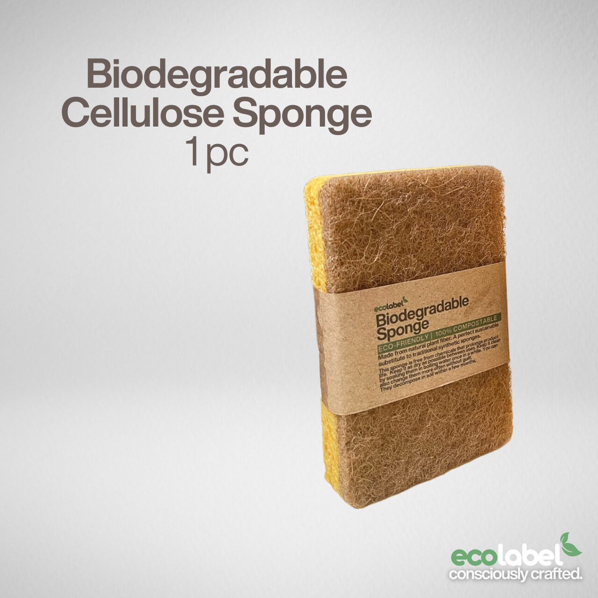 Biodegradable Sponge