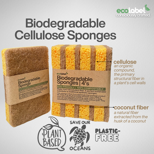 Biodegradable Sponge