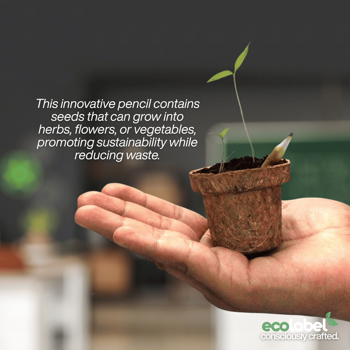 Plantable Pencil Compostable Starch Capsule