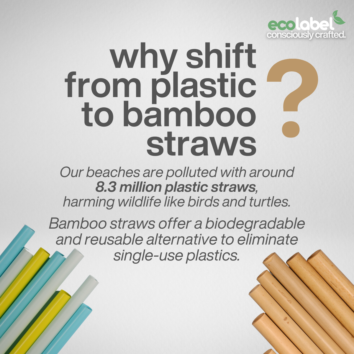 Reusable Bamboo Straw