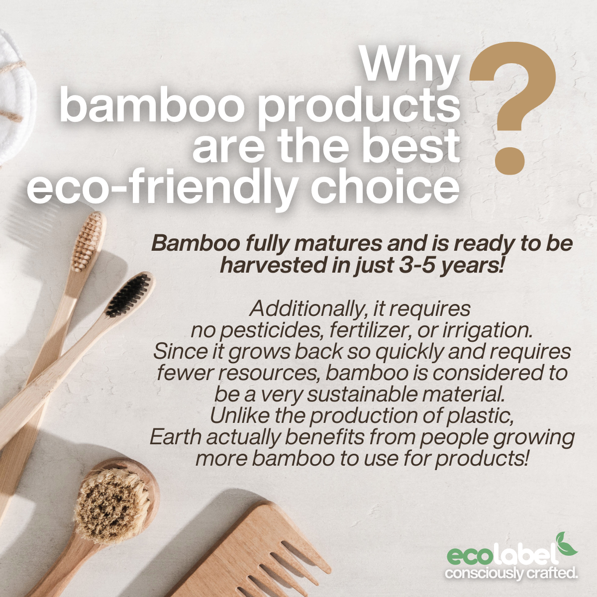 Bamboo Soap Dish | Premium