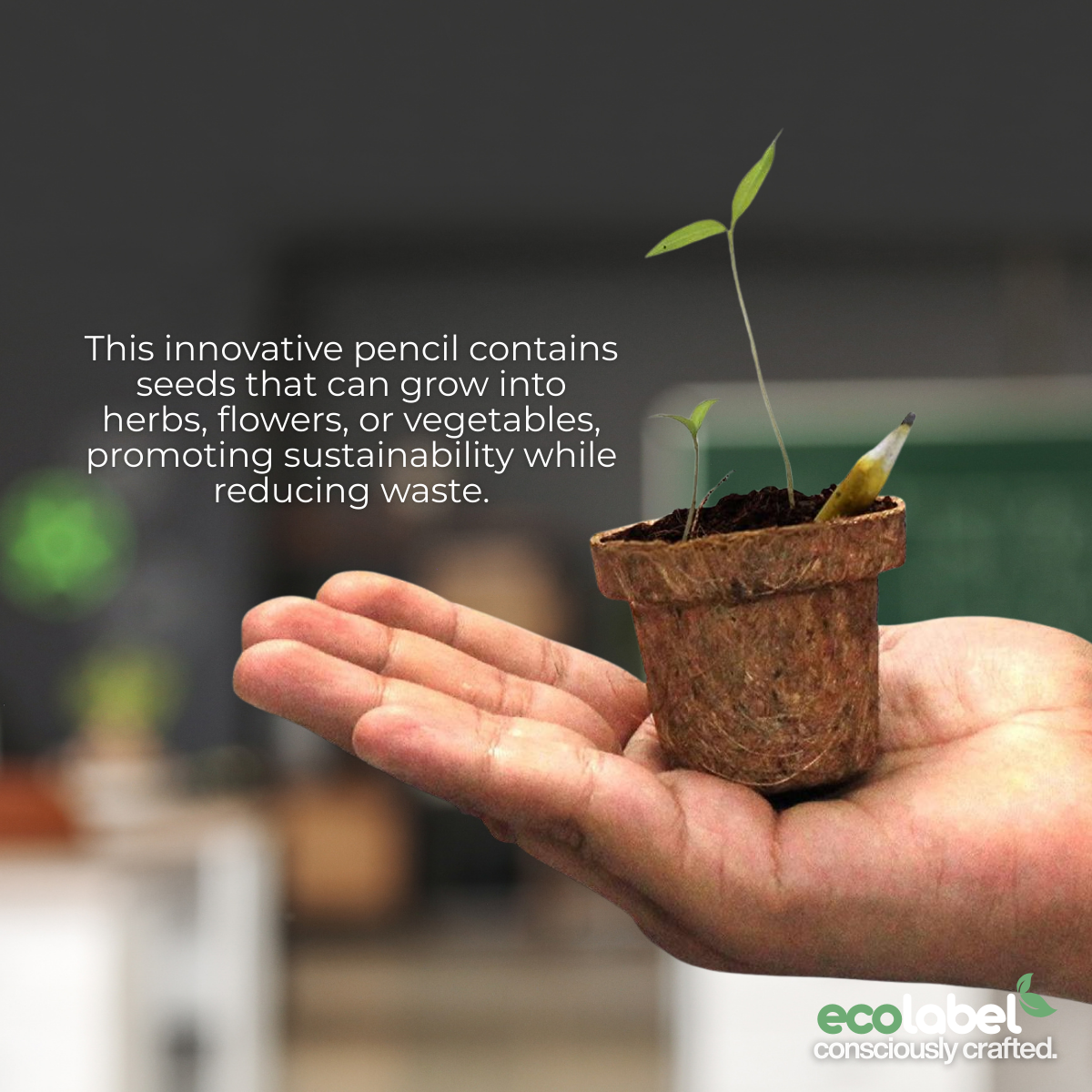 Plantable Pencil Compostable Starch Capsule