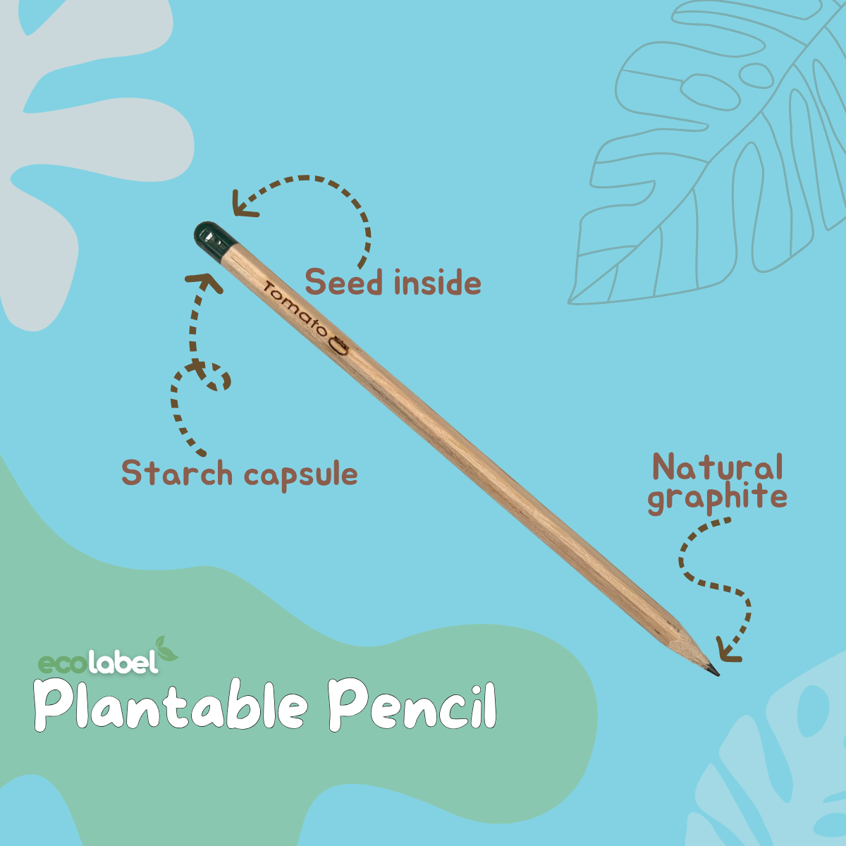 Plantable Pencil Compostable Starch Capsule 12pcs assorted