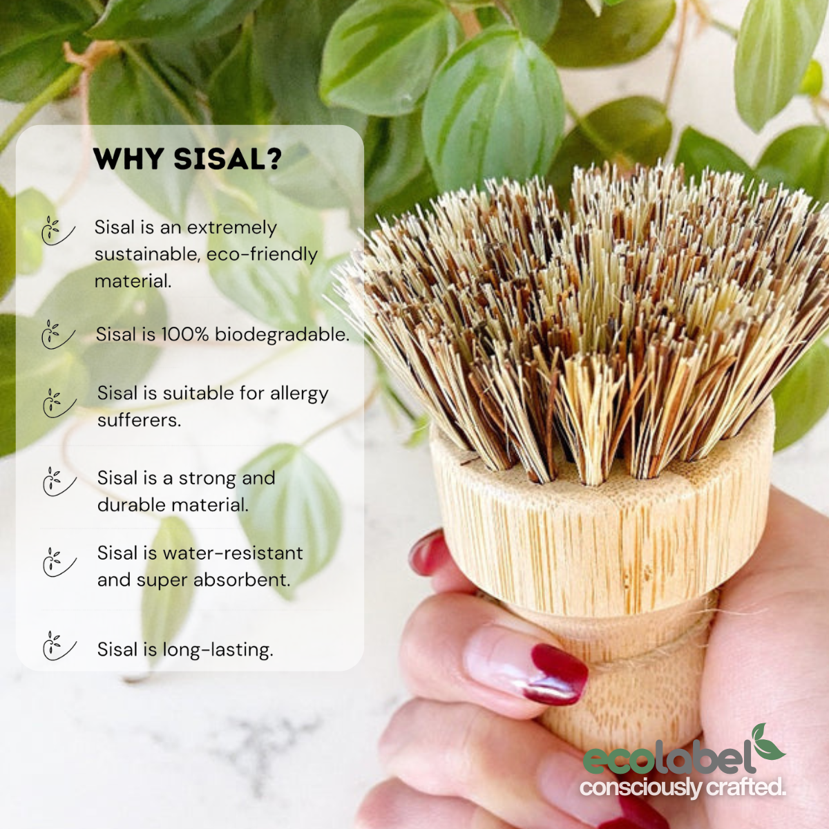 Natural Dish & Pot Brush